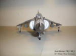 Sea Harrier Mk 1 (8).JPG

52,38 KB 
1024 x 768 
22.11.2011
